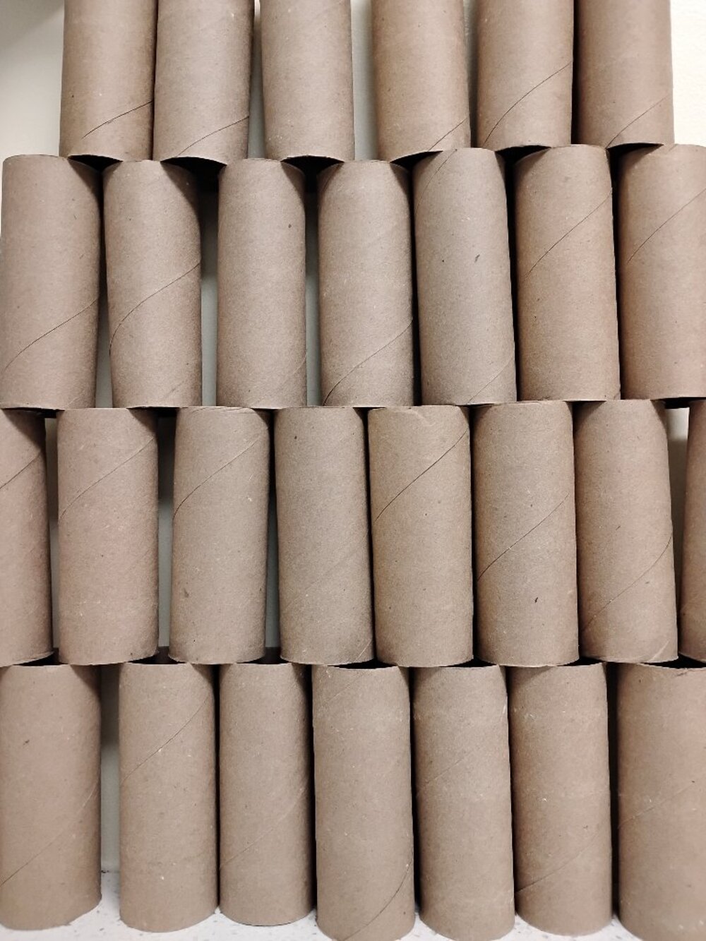 70 Empty Toilet Paper Rolls